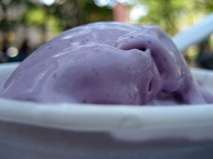 Shake Shack's Blueberry Crumble Frozen Custard